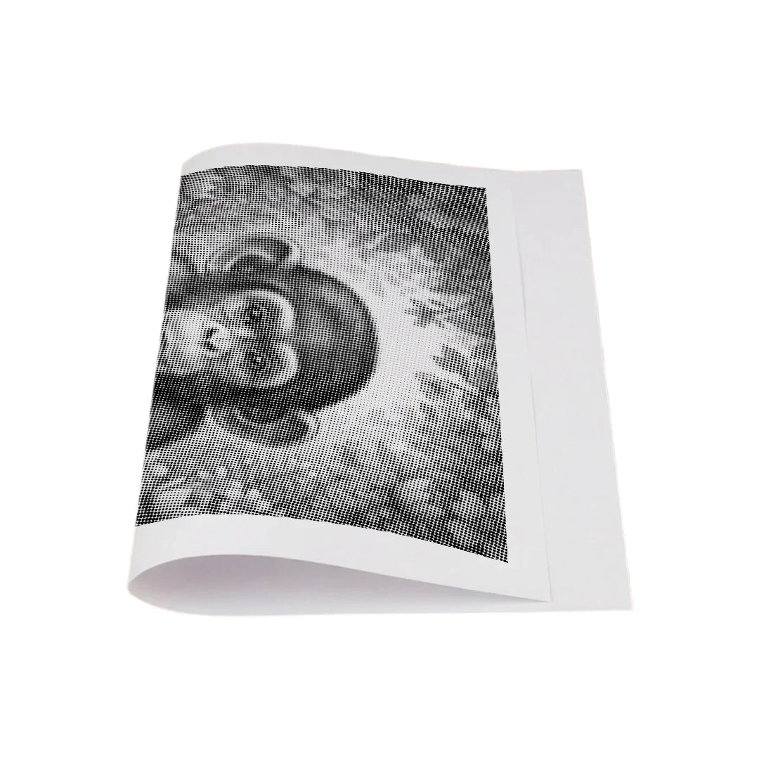 Apa med blommor Dot målning