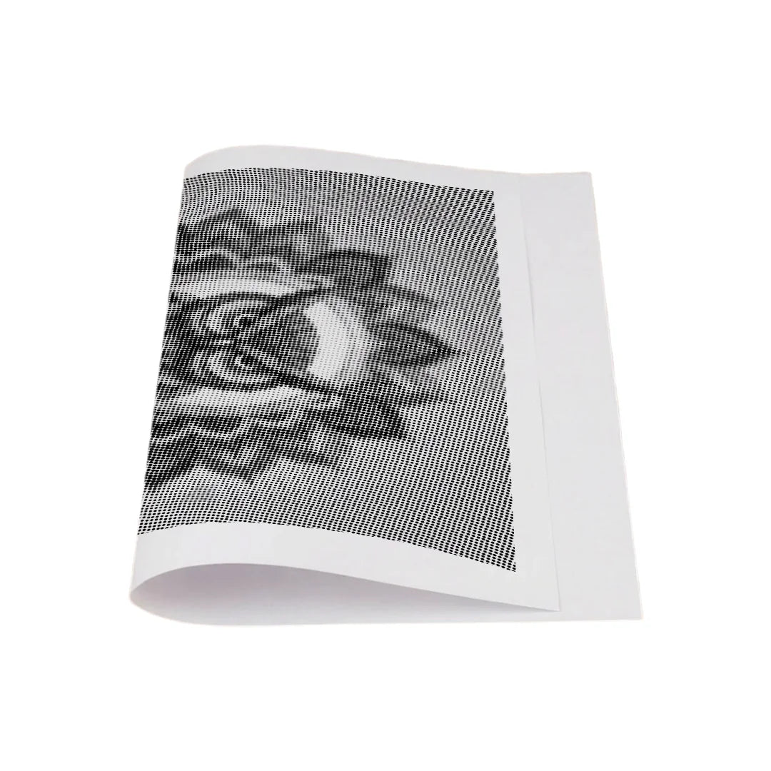 Owl Mandala 3 Dot Målning