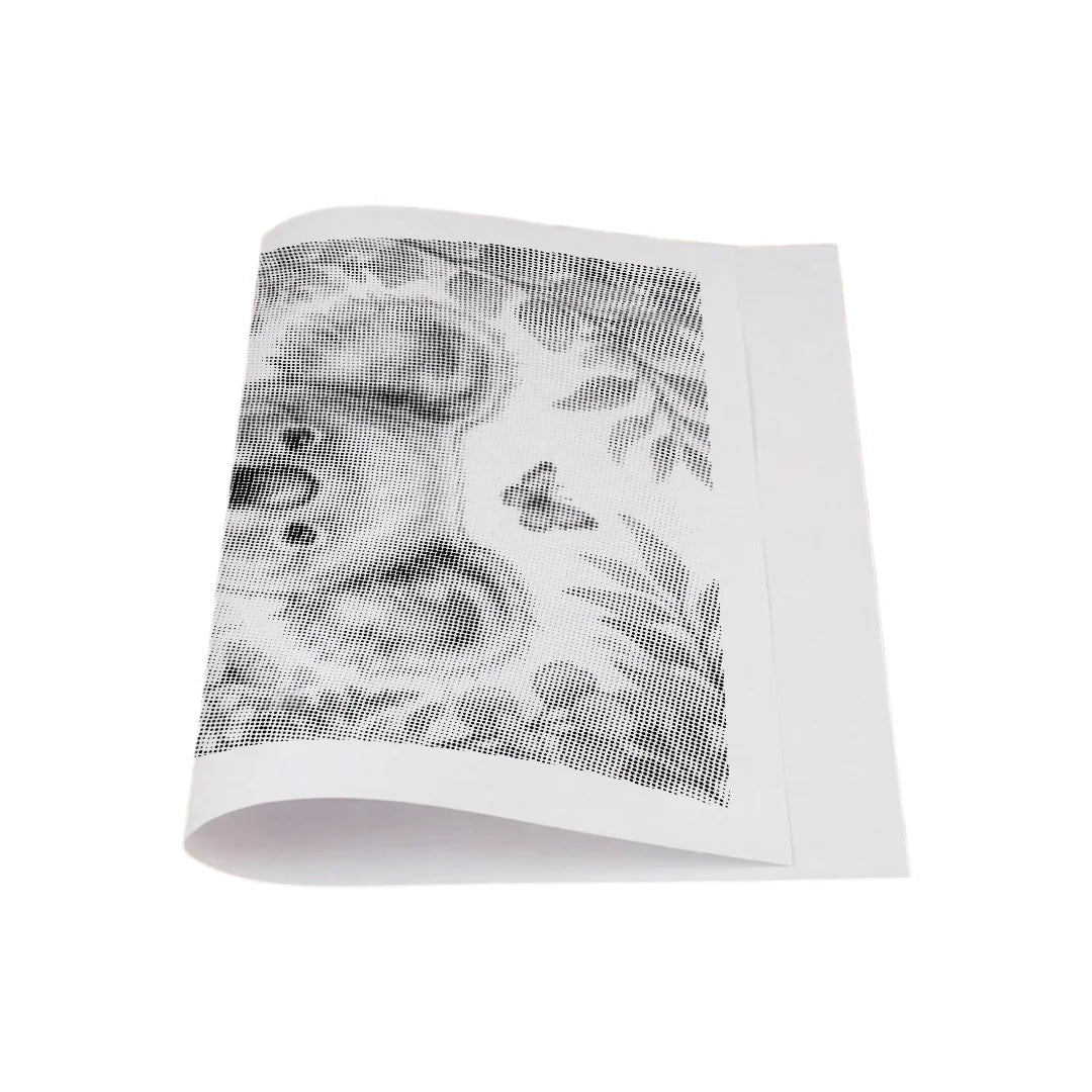 Koala med blommor Dot målning