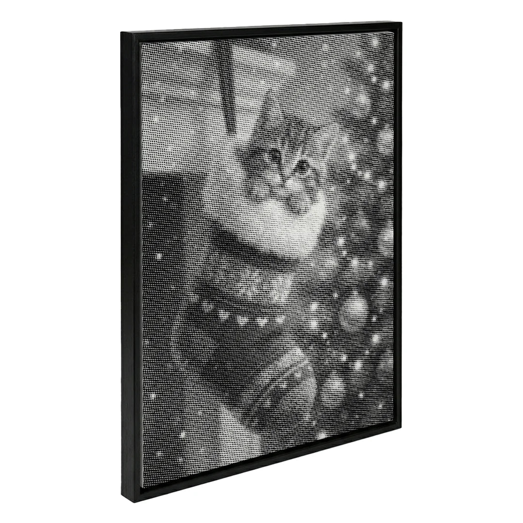 Kattunge i en julsockprickmålning