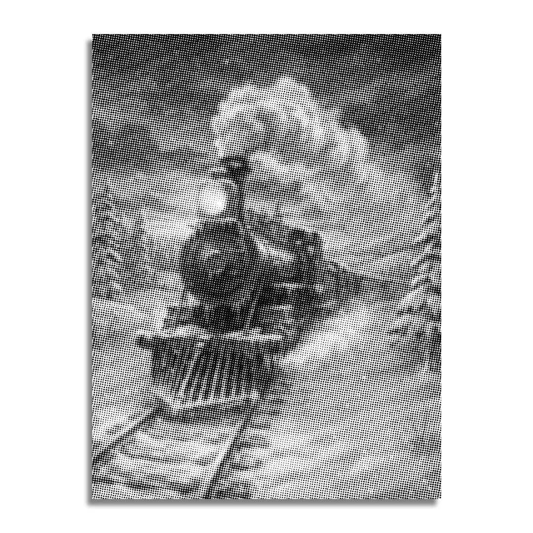 Polar Express prickmalning