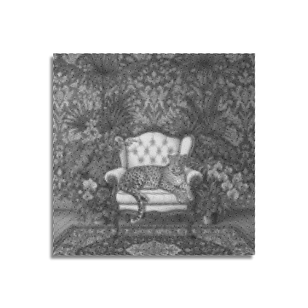 King Leopard Dot Målning