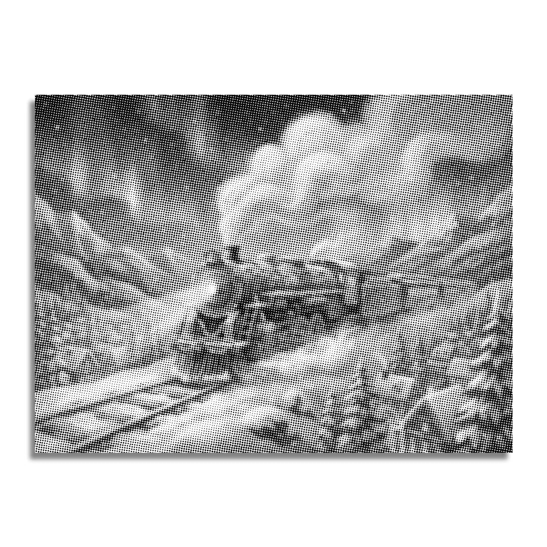 Polar Express 2 prickmalning