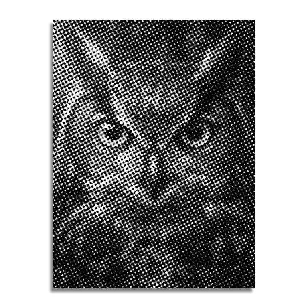 Med Owl Dot Painting i huvudrollen