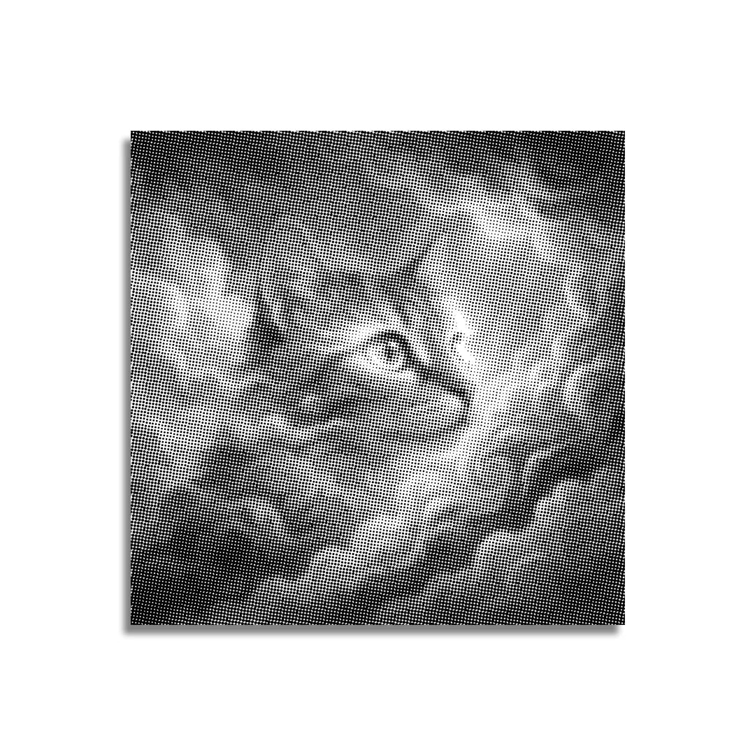 Cloudcat prickmalning