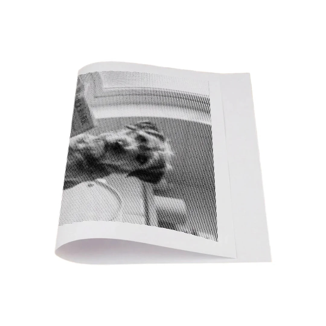 Hund på en toalett 2 prickmålning