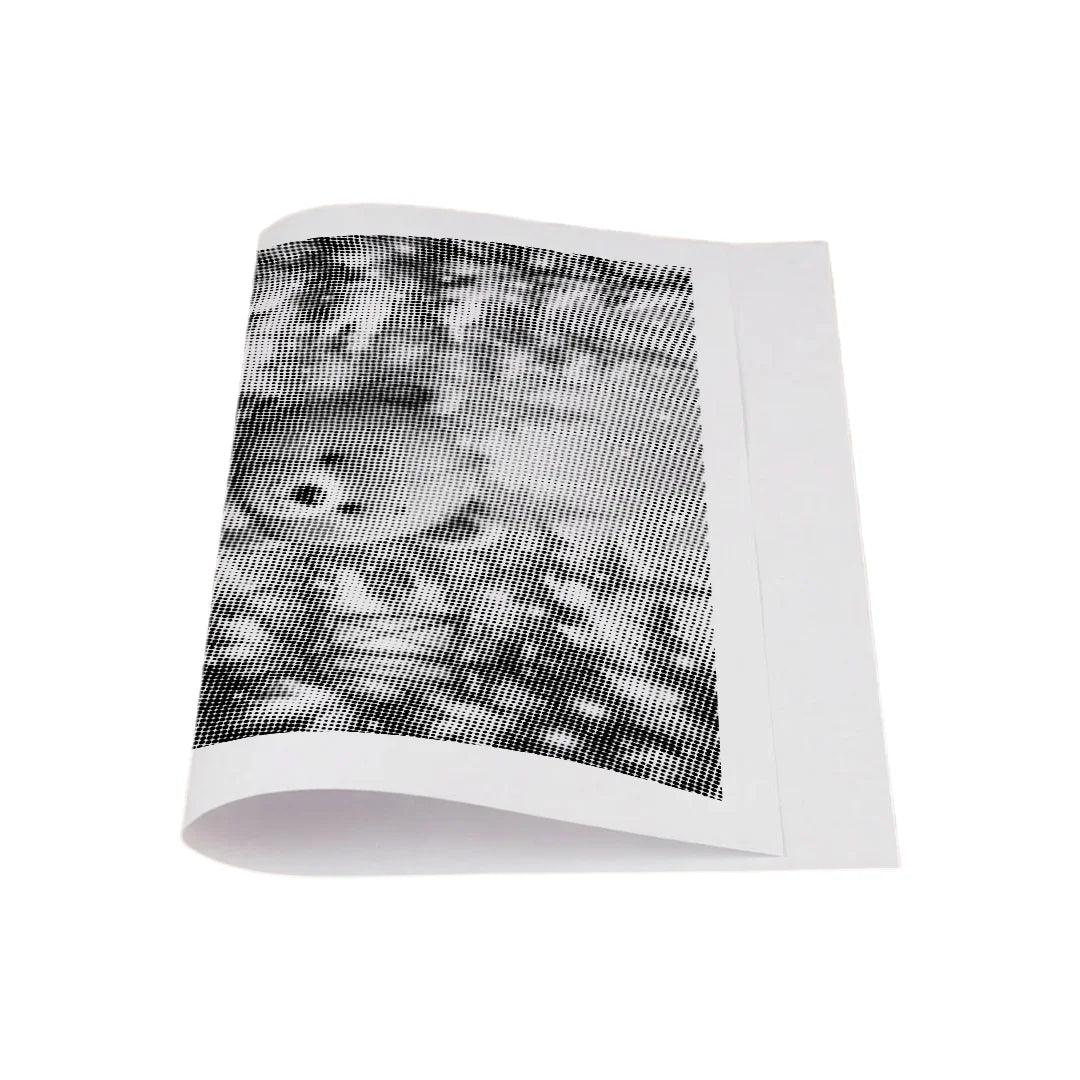 Vinter Björn Prick Målning