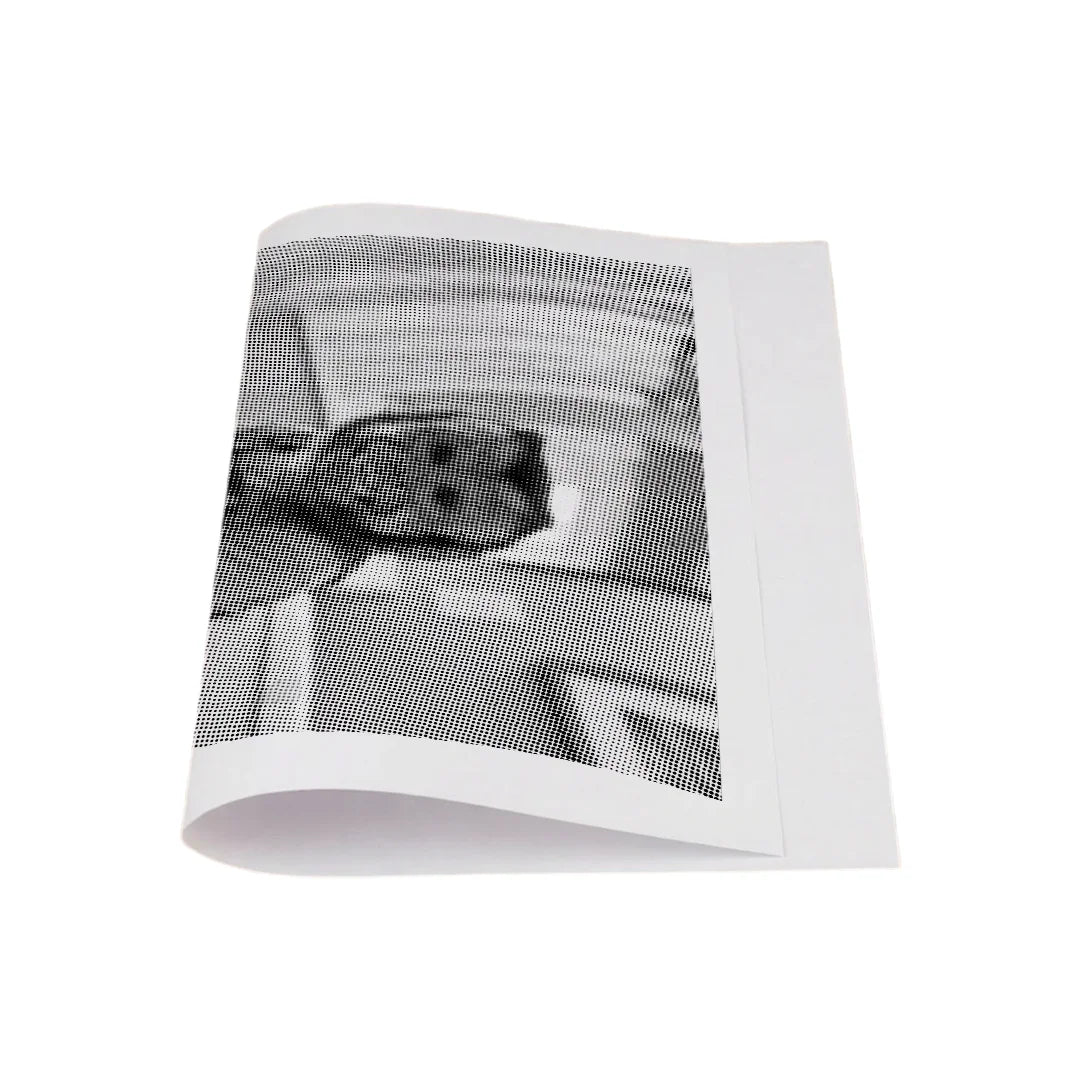 Apa på en toalett prickmålning