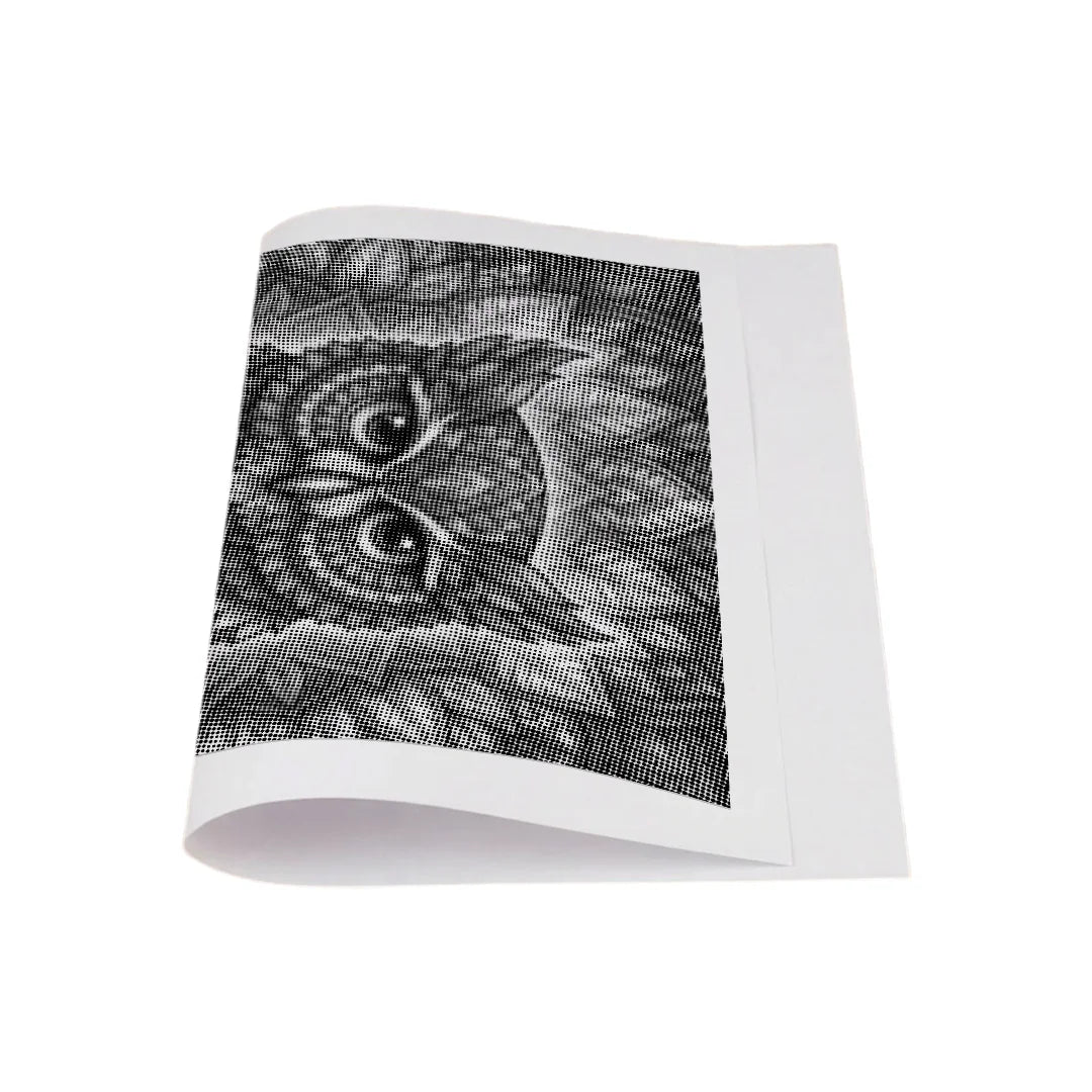 Owl Mandala 2 Dot Målning