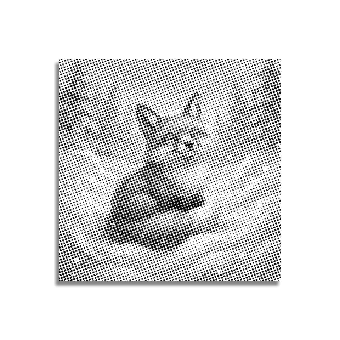 Räv som leker i snöprickmålningen